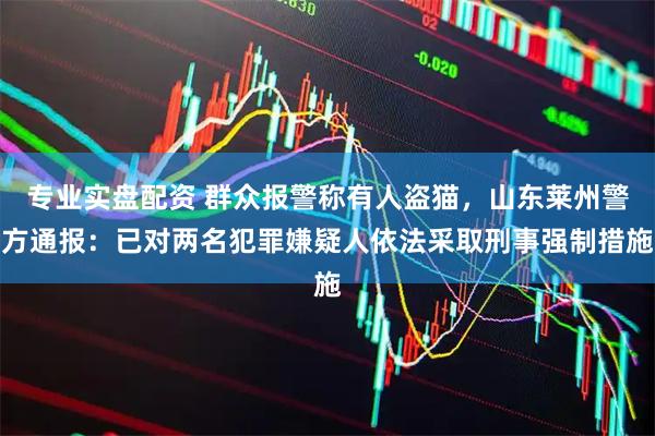 专业实盘配资 群众报警称有人盗猫，山东莱州警方通报：已对两名犯罪嫌疑人依法采取刑事强制措施