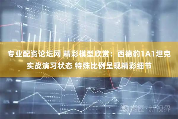 专业配资论坛网 精彩模型欣赏：西德豹1A1坦克实战演习状态 特殊比例呈现精彩细节